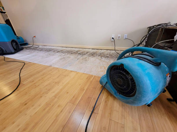Reliable Basement Flood Cleanup contractor in El Dorado Hills, CA by Hirex Water Damage