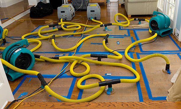 Professional Basement Flood Cleanup technician working in El Dorado Hills, CA
